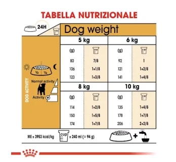Jack Russell Adulto Royal Canin