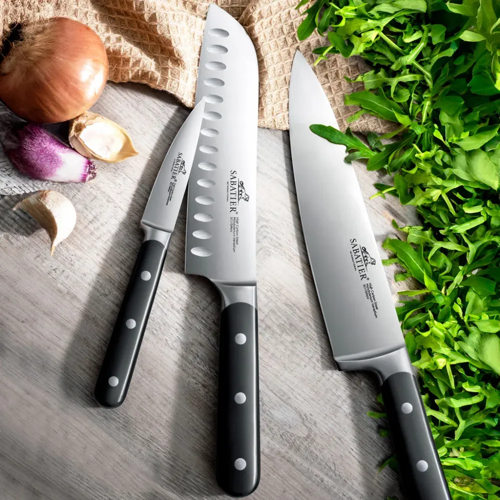Coltelli da cucina Egide Sabatier®