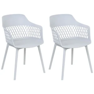 Set di 2 sedie da pranzo grigio distinto ALMIRA