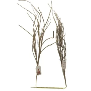 Pick brillantato misura h.93xd.5cm colore champagne