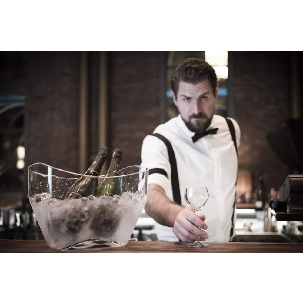 RAFFREDDATORE DI VINO - champagne cooler, trasparente