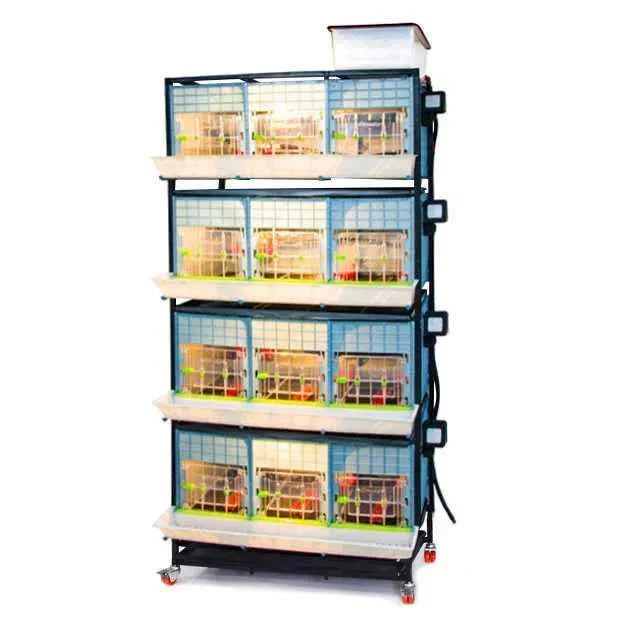 Scatola per allevamento pulcini con 4 piani - CB40-03-4K