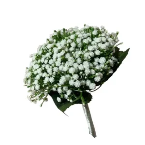 Bouquet gypsophila white 30cm