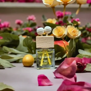 Diffusore Auto - Bouquet Frizzante