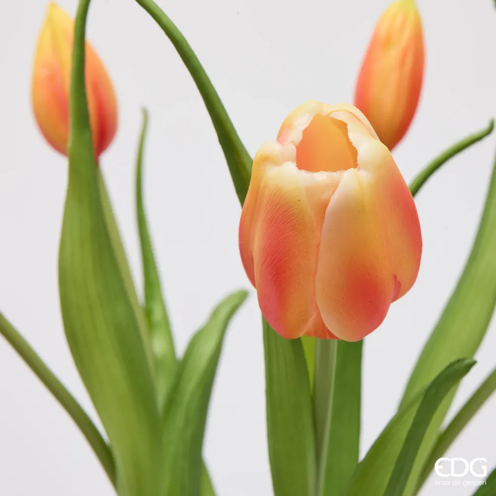 EDG Enzo De Gasperi Bouquet di Tulipani New 4 Fiori H40 cm Arancio Sfumato