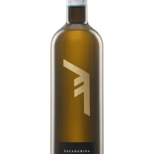 Falanghina del Sannio "Janare" 2022 box da 6 bottiglie La Guardiense