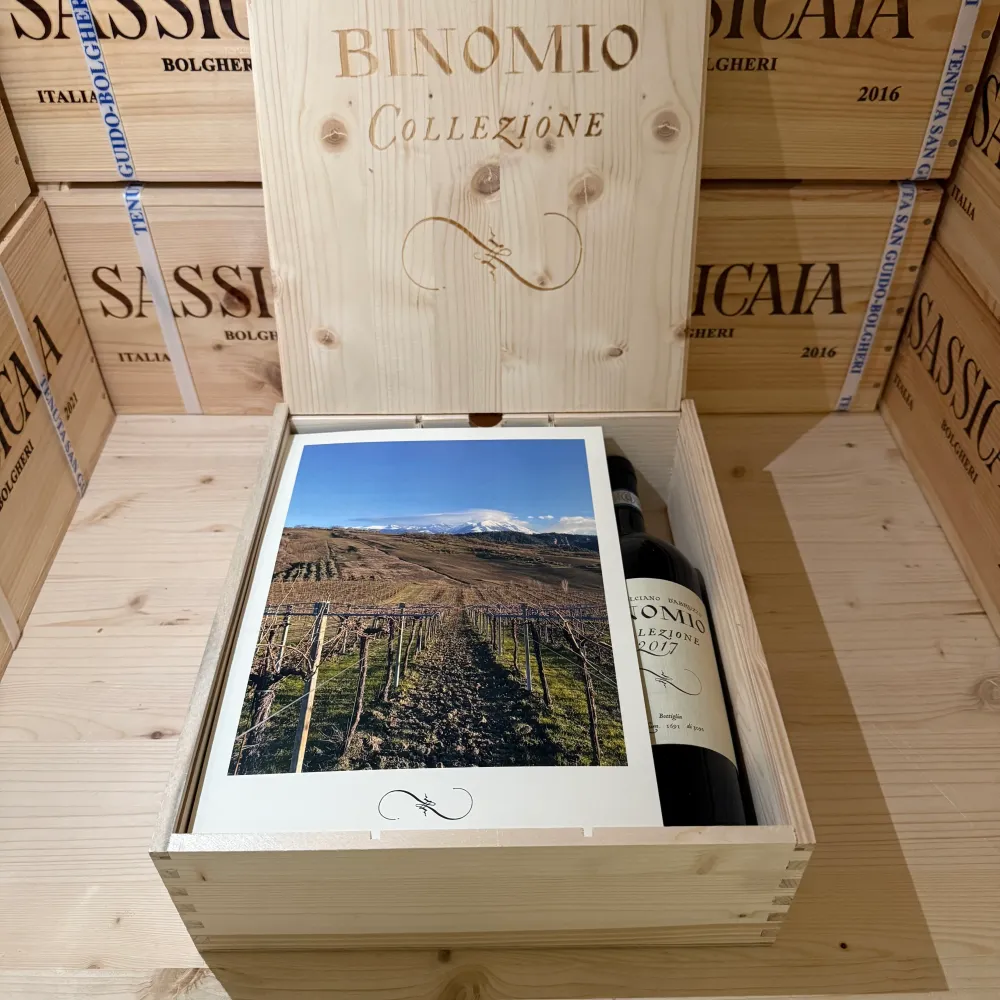 Montepulciano d'Abruzzo Riserva Binomio Collezione 2017 La Valentina - Cassa Legno 3 Bottiglie