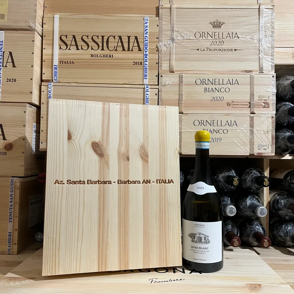 Moss Blanc 2021 Santa Barbara Verdicchio dei Castelli di Jesi DOC Classico Superiore - Cassa Legno 3 Bottiglie