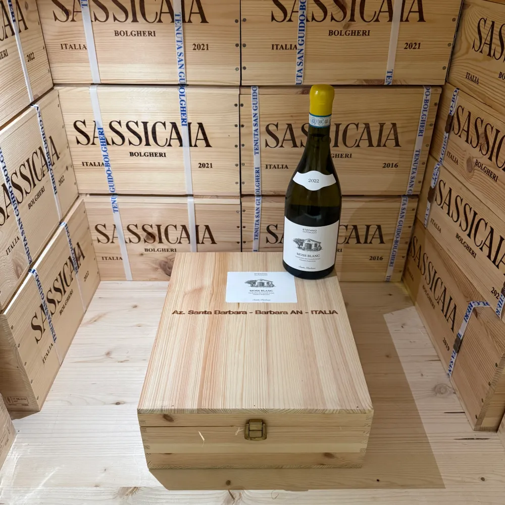 Moss Blanc 2022 Santa Barbara Verdicchio dei Castelli di Jesi DOC Classico Superiore - Cassa Legno 3 Bottiglie