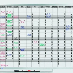 PROFESSIONAL planner annuale 365 giorni 90x120 cm